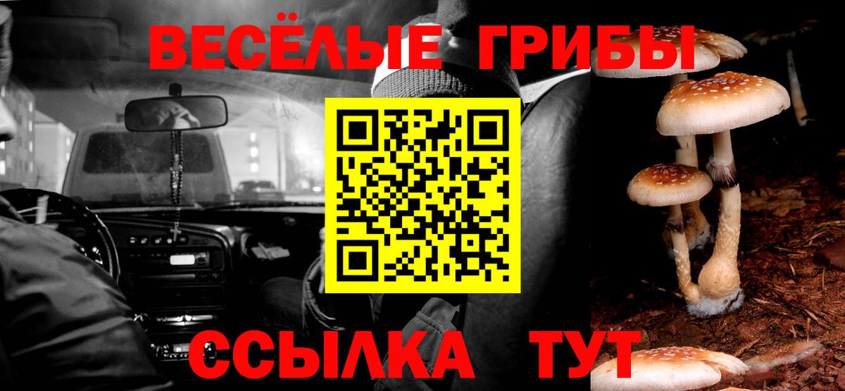 Галлюциногенные грибы Magic Shrooms  Вход с VPN  Урус-Мартан  Псилоцибиновые грибы Psilocybine cubensis 